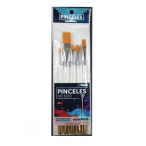 Set de 10 pinceles